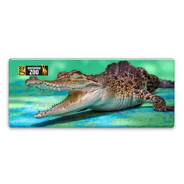 Zoo Themed Epoxy Dome Panaromic Souvenir Fridge Magnet 120x50 cm