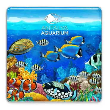 Aquapark Themed Epoxy Dome Square Souvenir Fridge Magnet 65x65 mm