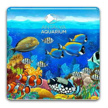 Aquapark Themed Epoxy Dome Square Souvenir Fridge Magnet 80x80 mm