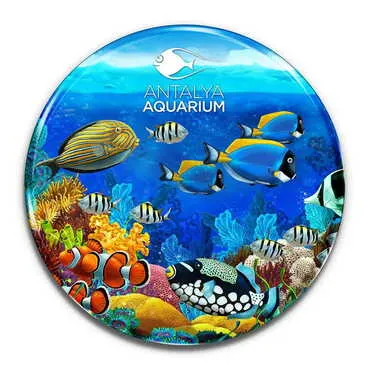 Toptan Aquapark Temalı Myros Yuvarlak Magnet 67 mm