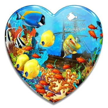 Toptan Aquapark Temalı Myros Kalp Magnet 65x60 mm