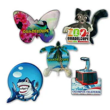 Customazible Epoxy Dome Cut Out Special Shape Souvenir Fridge Magnet - Standart