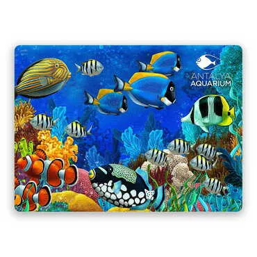 Aquapark Themed Wooden Uv Printed Souvenir Fridge Magnet 93x68 mm