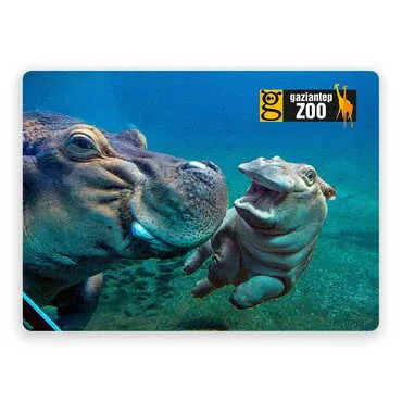 Zoo Themed Wooden Uv Printed Souvenir Fridge Magnet 93x68 mm - Standart
