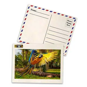 Zoo Themed Wooden UV Printed Travel Postcard 116x150 mm