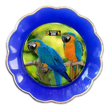 Zoo Themed Epoxy Dome Plate Shaped Souvenir Fridge Magnet 73 mm
