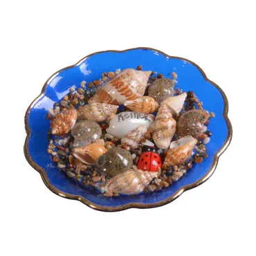Kemer Themed Customised Sea Shell Plate Magnet 73 Mm