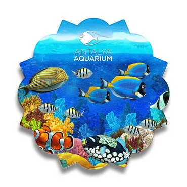 Toptan Aquapark Temalı Myros Ahşap Güneş Bardak Altlığı 100 mm