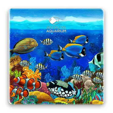 Aquapark Themed Stone Square Souvenir Fridge Magnet 50x50 mm