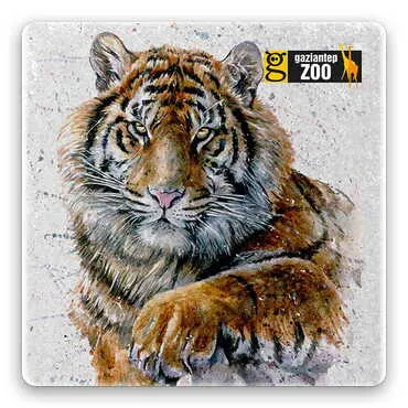 Zoo Themed Stone Square Souvenir Fridge Magnet 50x50 mm