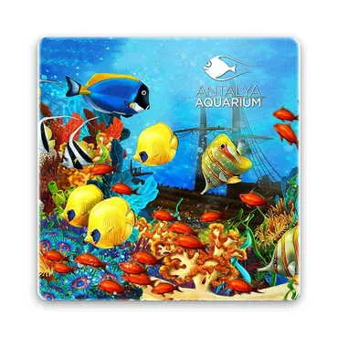 Aquapark Themed Customised Stone Coaster 100x100 mm