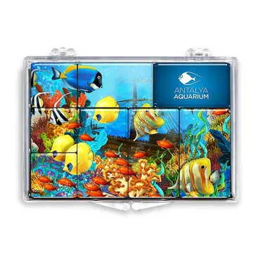 Aquapark Themed Epoxy Dome Souvenir Fridge Magnet Set of 8 pcs