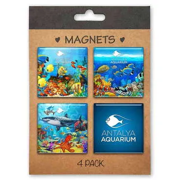 Toptan Aquapark Temalı Myros 4 Lü Kartonet Magnet Seti̇ 40*40 Mm