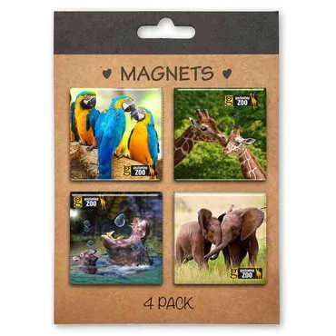 Toptan Hayvanat Bahçesi Temalı Myros 4 Lü Kartonet Magnet Seti̇ 40*40 Mm