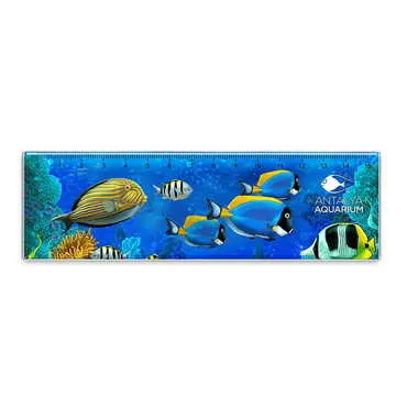 Toptan Aquapark Temalı Myros Cetvel Magnet 165x50 mm - Standart