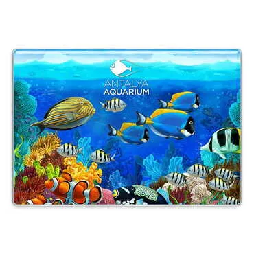 Toptan Aquapark Temalı Myros Dikdörtgen Magnet 95x65 mm