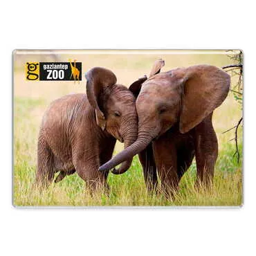 Zoo Themed Epoxy Dome Rectangular Souvenir Fridge Magnet 95x65 mm