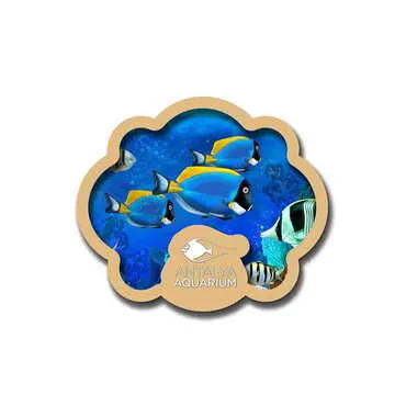 Toptan Aquapark Temalı Myros Resimli Ahşap Magnet