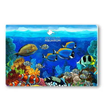 Toptan Aquapark Temalı Myros Taş Magnet 60x45 mm