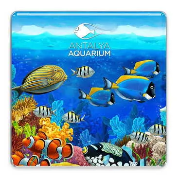 Aquapark Themed Epoxy Dome Mini Square Souvenir Fridge Magnet 35x35 mm