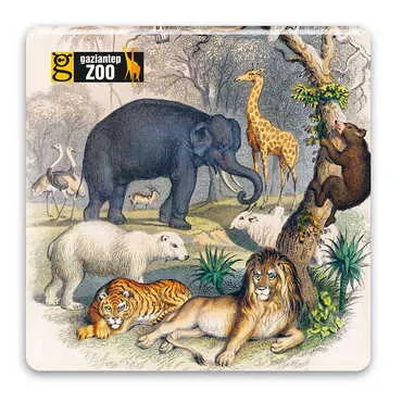 Zoo Themed Epoxy Dome Mini Square Souvenir Fridge Magnet 35x35 mm