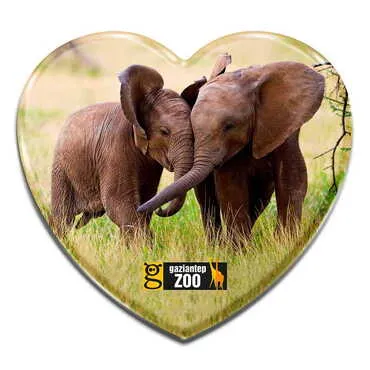 Zoo Themed Heart Shaped Mini Fridge Magnet 40x37 mm - Standart