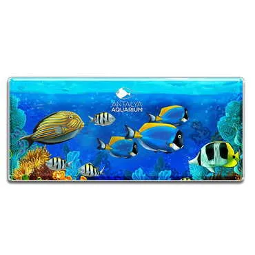Aquapark Themed Epoxy Dome Mini Panoramic Souvenir Fridge Magnet 85x35 mm
