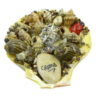 Cesme Themed Sea Shell Souvenir Fridge Magnet - Standart