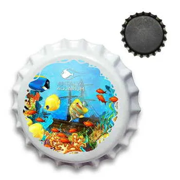 Toptan Aquapark Temalı Uv Baskılı Kapak Magnet 30 mm
