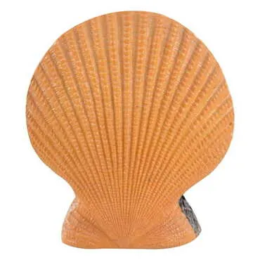 Belek Themed Polyester Oysters Desktop Decor - Standart - 3