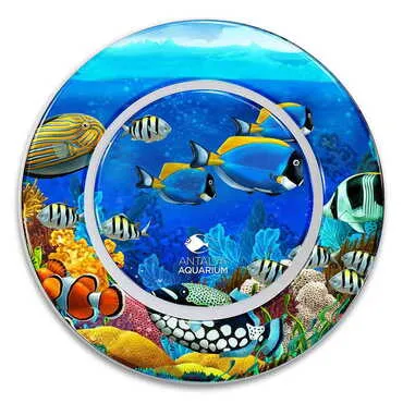 Aquapark Themed Customised Ceramic Epoxy Souvenir Plate 20 cm - Standart