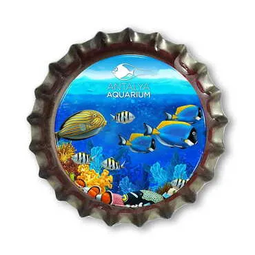 Aquapark Themed Customised Epoxy Metal Bottle Cap Magnet 30x10 mm