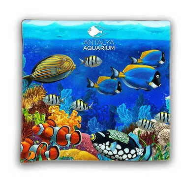 Toptan Aquapark Temalı Myros Dijital Baskı Yastık 400x400 mm